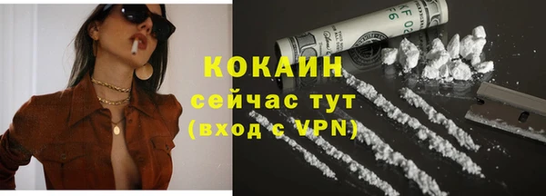 стаф Арсеньев
