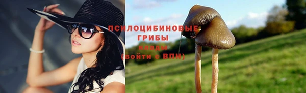 стаф Арсеньев