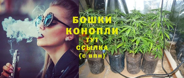 стаф Арсеньев