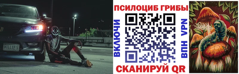 гидра ссылки  Татарск  Галлюциногенные грибы прущие грибы 
